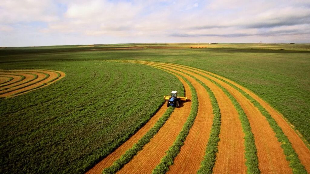 pib-agro/cepea:-pib-do-agro-cai-no-3o-trimestre-e-acumula-baixa-de-0,91%-em-2023