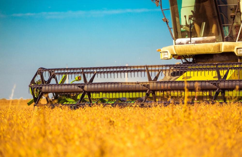 precos-agricolas:-analistas-veem-de-acomodacao-a-leve-recuperacao-em-2024