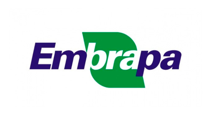 embrapa:-castanha-impulsiona-desenvolvimento-sustentavel-na-amazonia