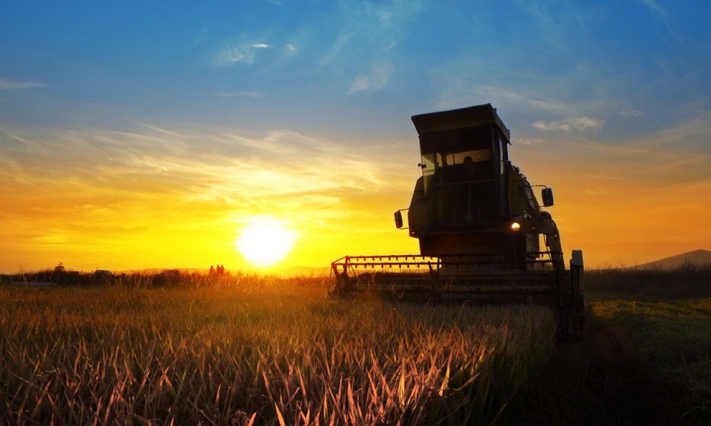 confira-os-destaques-do-agro-na-primeira-semana-de-2024