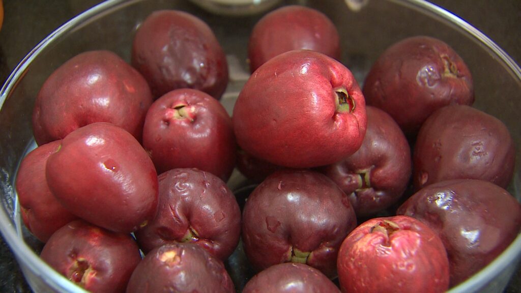epoca-do-jambo:-conheca-a-origem-da-fruta-exotica-e-seus-beneficios-para-a-saude
