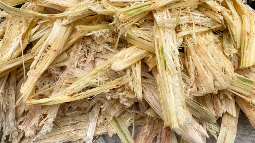 bioeletricidade-a-partir-de-bagaco-e-palha-de-cana-cresce-14%-em-2023,-para-20,97-twh