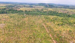 mp-ro-pede-r$-90-milhoes-por-desmatamento-na-amazonia