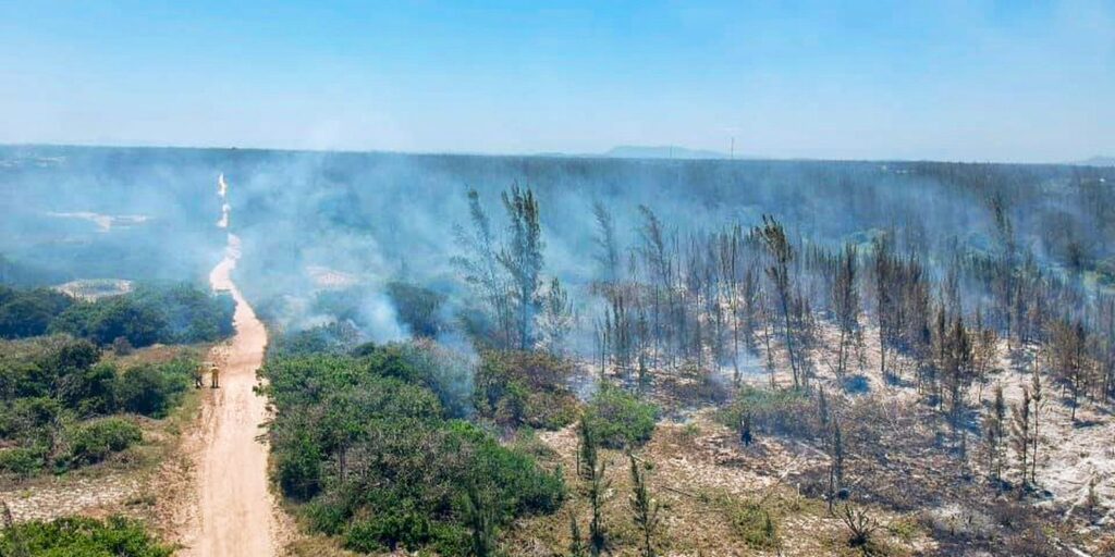incendio-atinge-parque-natural-em-arraial-do-cabo,-no-rio-de-janeiro