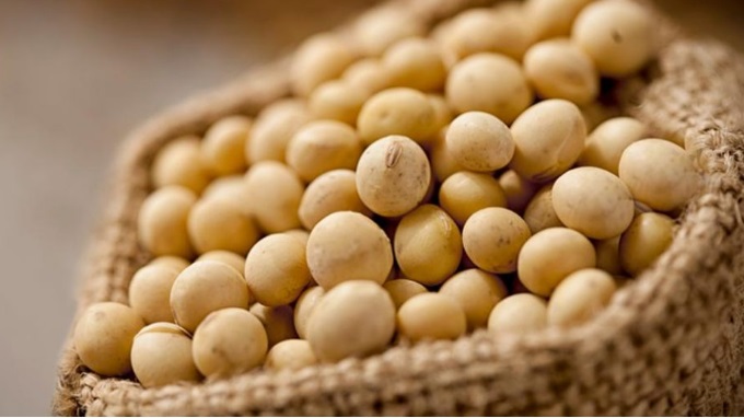 soja-inicia-sessao-desta-3a-com-leves-ganhos-na-cbot-ainda-com-foco-no-clima-na-ams