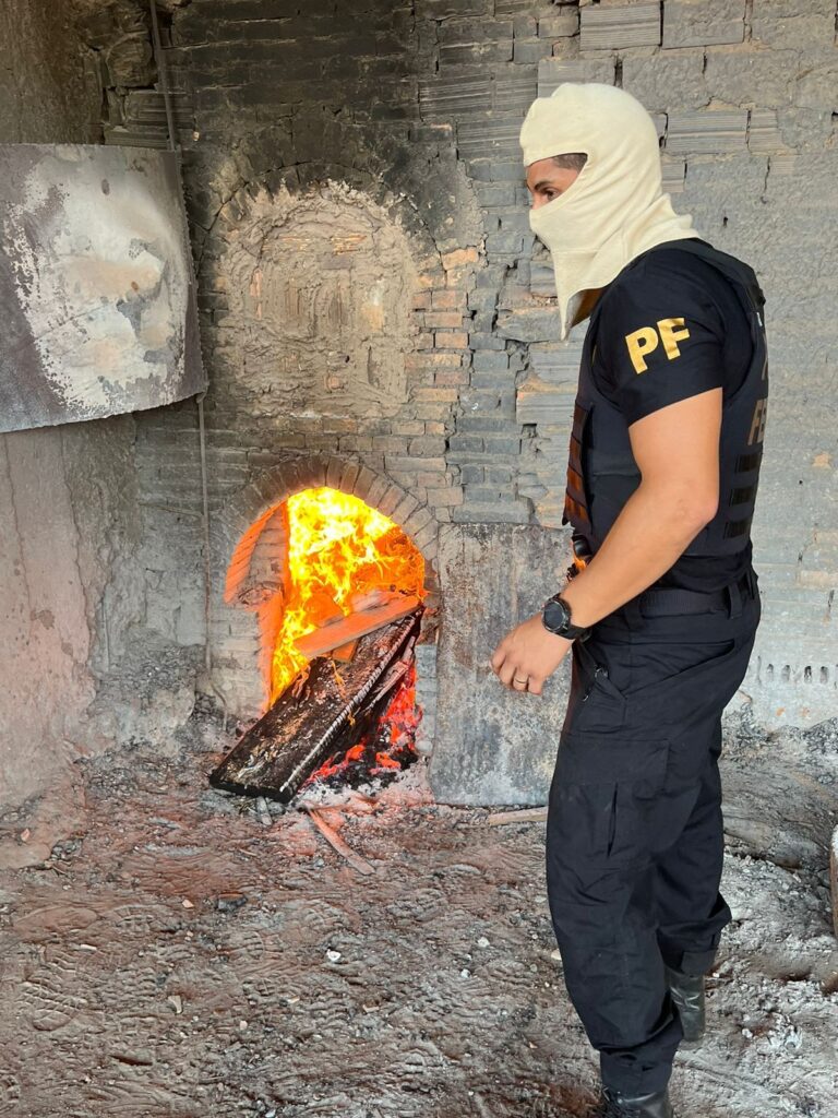 mais-de-100-kg-de-drogas-aprendidos-em-dois-meses-sao-incinerados-pela-pf-em-guajara,-ro