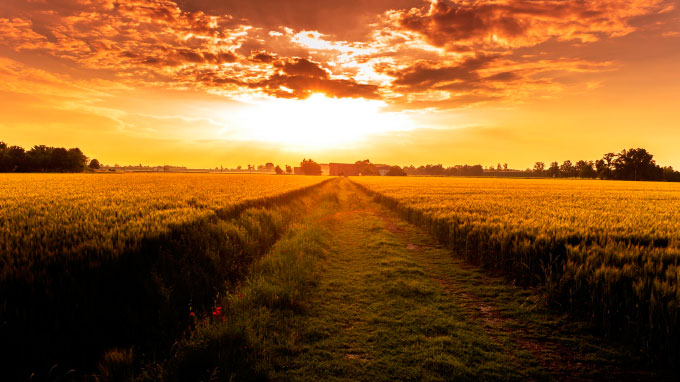 neste-verao,-el-nino-trara-temperaturas-recordes-e-tempestades,-mas-tambem-oportunidades-unicas-para-as-empresas