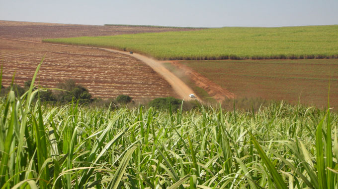 moagem-na-safra-2023/24-devera-crescer-10,9%,-diz-conab