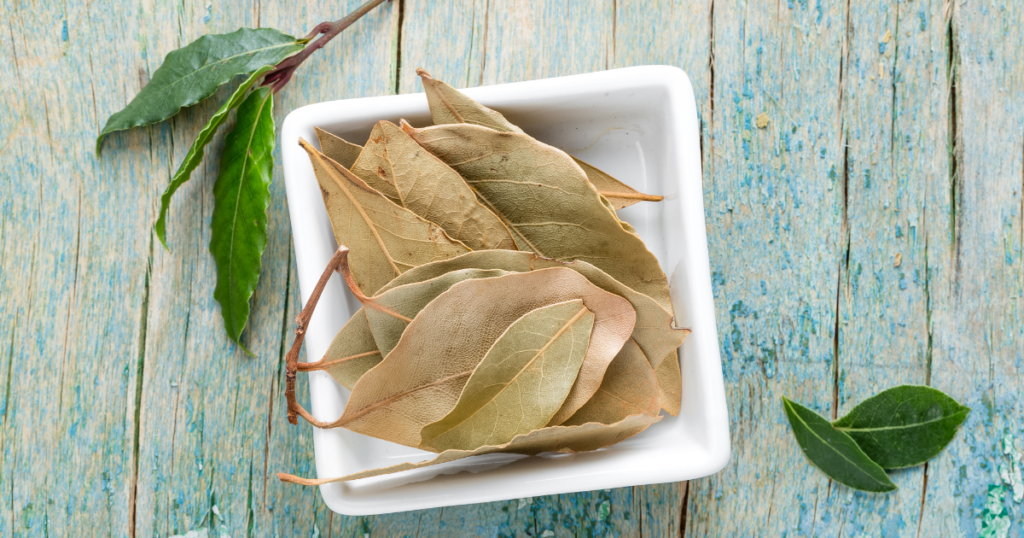 controle-da-diabete,-alivio-para-dores-e-mais!-conheca-os-5-beneficios-do-cha-de-louro-e-tenha-uma-vida-mais-saudavel