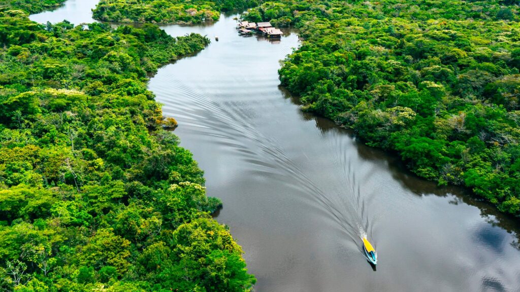 brasil-e-alemanha-lancam-projeto-para-fomentar-a-transparencia-e-a-sustentabilidade-em-cadeias-produtivas-na-amazonia