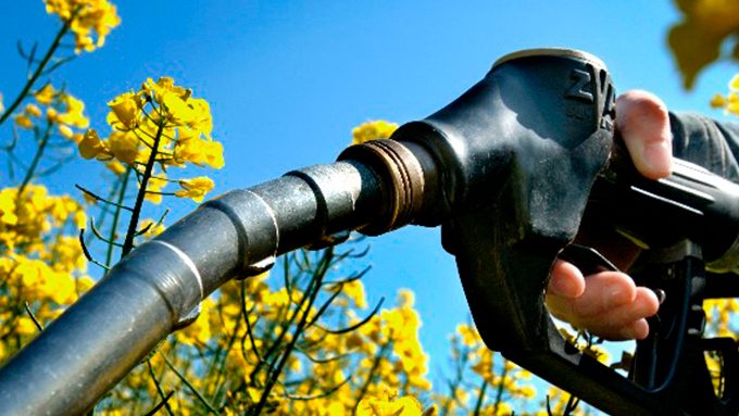 mundo-precisa-ofertar-3-vezes-mais-biocombustivel-ate-2030