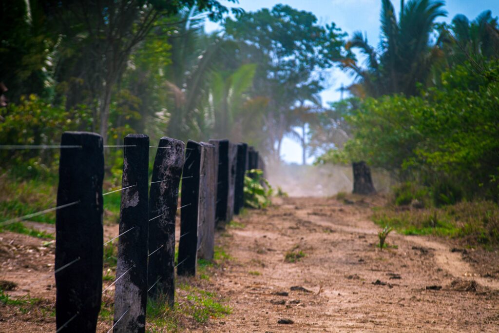 fazendeiros-sao-obrigados-a-desocupar-unidade-de-conservacao-sob-pena-de-multa-de-ate-r$-300-mil-por-dia