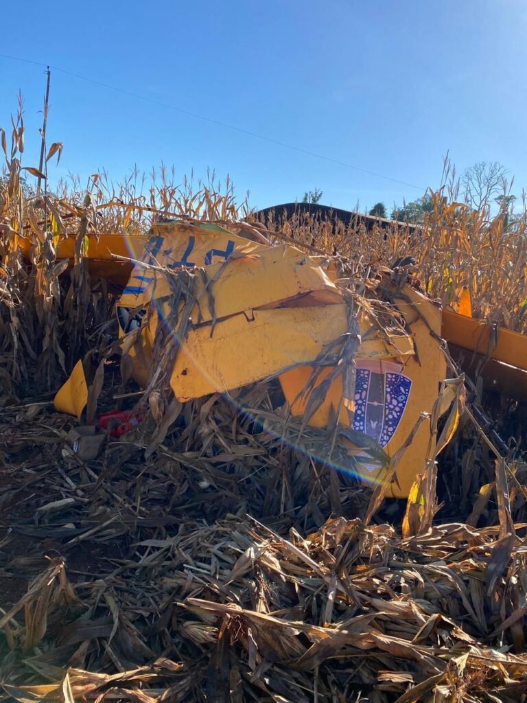 video:-aviao-de-pequeno-porte-cai-e-piloto-sai-sem-ferimentos-na-zona-rural-de-ro