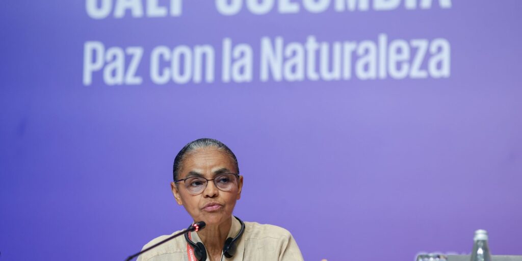 marina-silva-defende-indigena-detida-na-cop16-durante-protesto