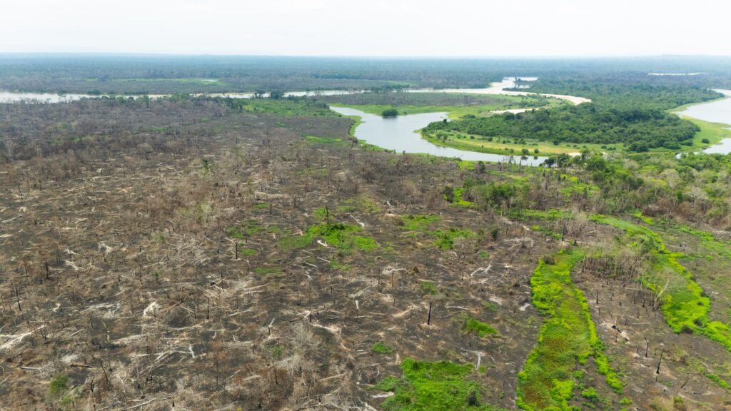 cimcero-e-sicoob-credisul-iniciam-restauracao-de-areas-queimadas-em-pimenteiras.