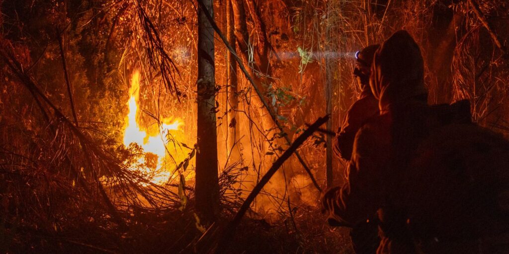 area-queimada-no-brasil-ate-novembro-quase-dobra-em-relacao-a-2023