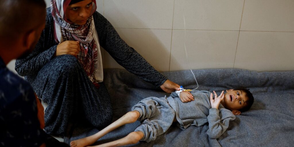 fao-aponta-que-fome-chegou-a-pior-patamar-em-gaza