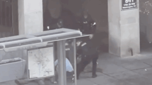 videos-mostram-prisao-do-suspeito-de-atirar-em-agentes-nos-eua;-assista