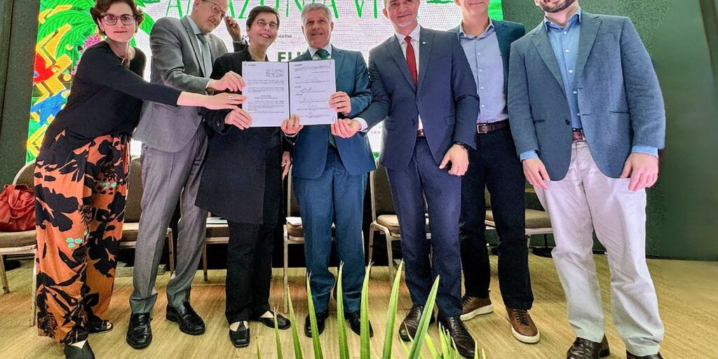 Fundo Amazônia: cadeias produtivas de florestas terão R$ 96,6 milhões