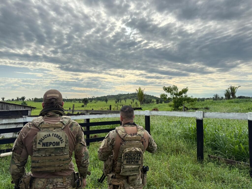 pf-investiga-ataque-a-familia-indigena-e-esquema-de-grilagem-dentro-de-territorio-em-ro