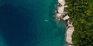 tv-brasil-exibe-documentario-com-iniciativas-de-preservacao-da-costa