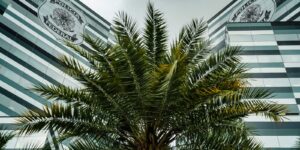 pf-adia-depoimentos-de-tres-investigados-no-inquerito-do-banco-master