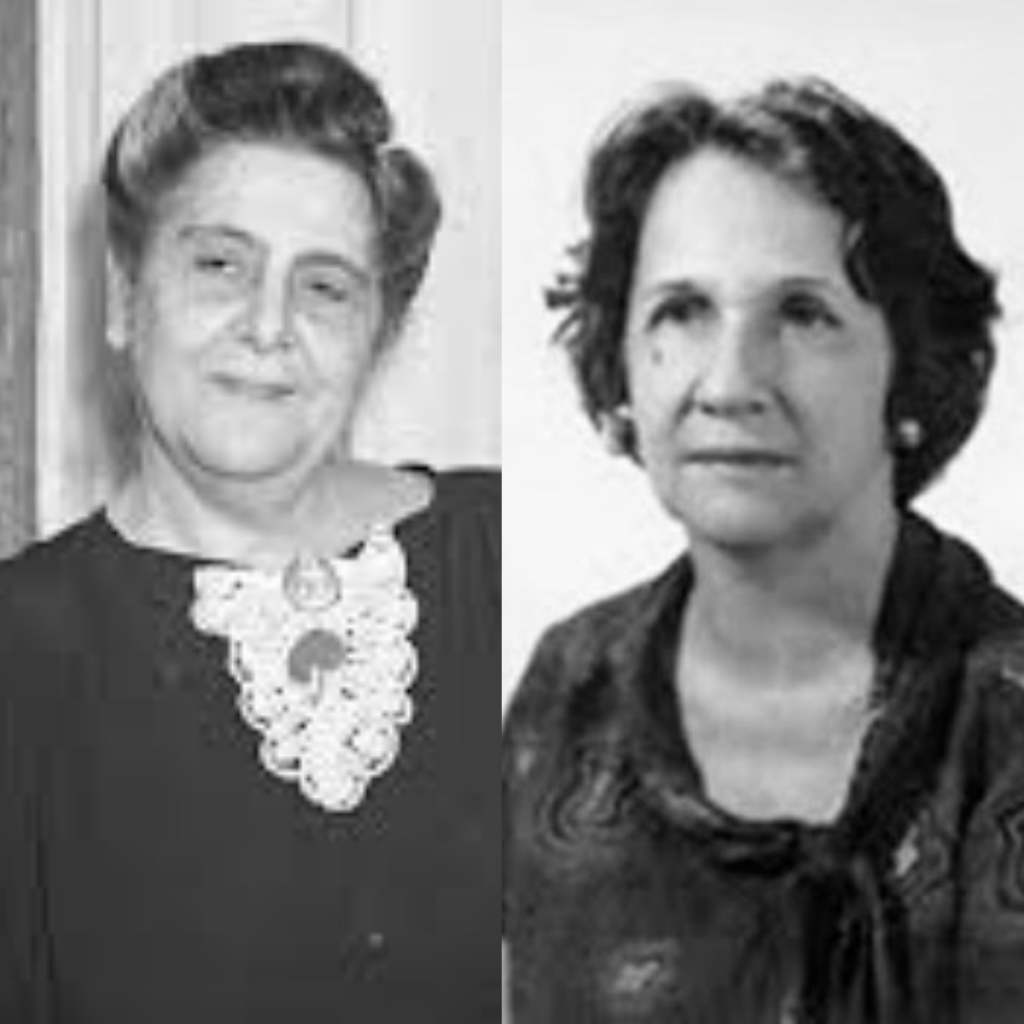 Flora Calheiros, Marise Castiel e Carmela Dutra: conheça as mulheres que dão nome a escolas em Porto Velho