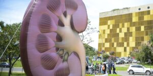 dia-mundial-do-rim:-doencas-renais-sao-silenciosas-e-exigem-atencao