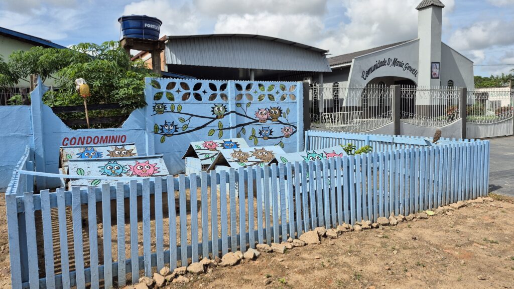 ‘Condomínio das Corujas’: moradores criam abrigo inusitado e transformam calçada em refúgio para aves em RO