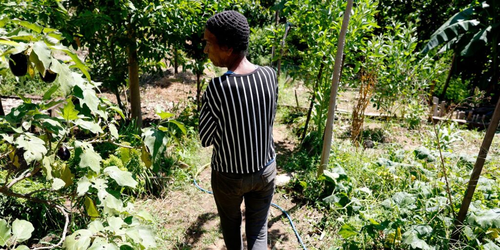 Horta comunitária reúne memória, cuidado e cidadania em favela do Rio