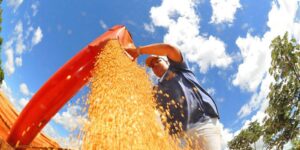 atividade-economica-brasileira-cresce-0,6%-em-fevereiro