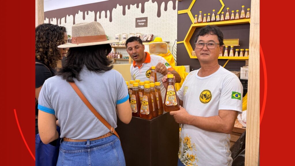 Hidromel dos vikings? Bebida milenar ganha versão produzida em Rondônia