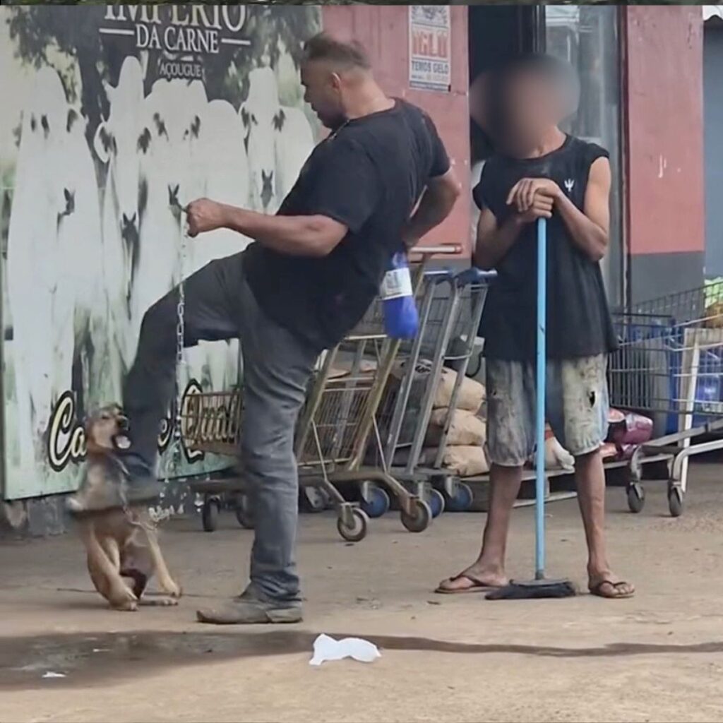 Homem é preso após ser filmado agredindo cachorro ‘caramelo’ em Porto Velho
