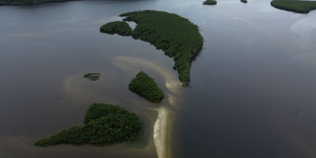 Carbono azul ganha espaço na agenda climática dos oceanos