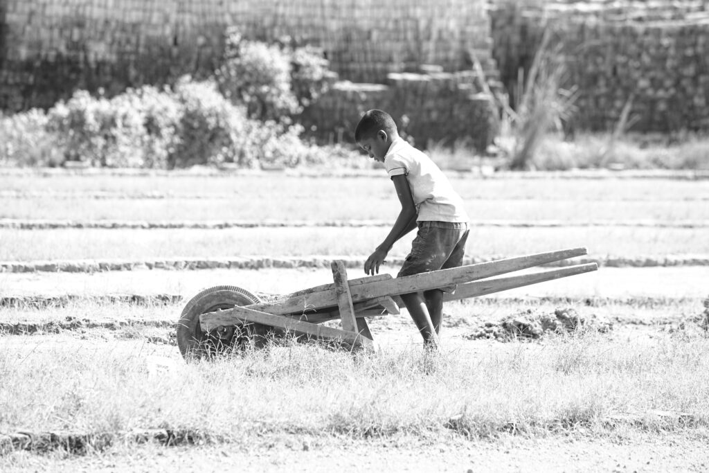Justiça obriga fazenda a custear tratamento de adolescente ferido em trabalho proibido em RO