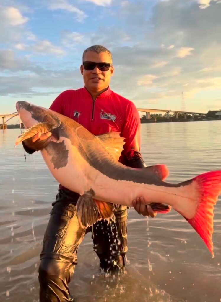 Pescador é ‘arrastado’ por peixe de 40 kg durante captura no rio Madeira, em Porto Velho; veja vídeo