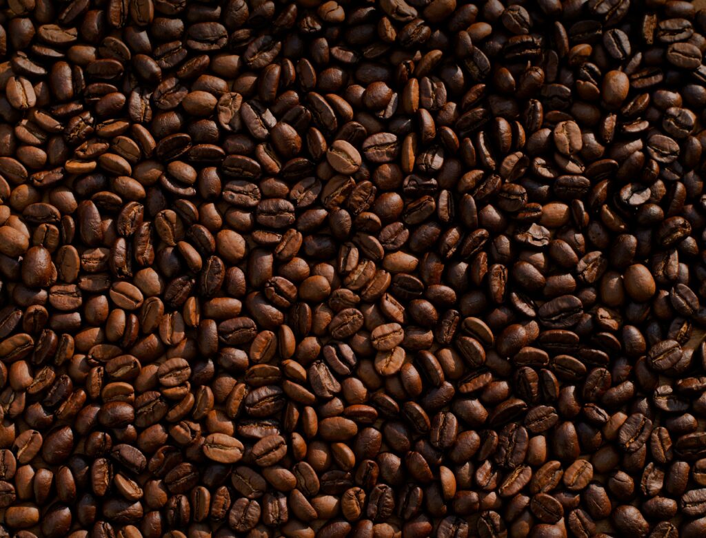 Florada Premiada: Rondônia tem 13 das 20 finalistas em concurso nacional de café