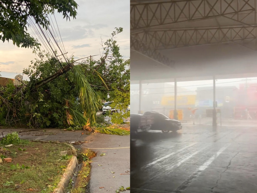 Forte ventania é registrada em Porto Velho durante alerta de tempestade; veja vídeo