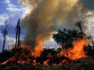 homem-morre-enquanto-tentava-apagar-incendio-em-pastagem-na-zona-rural-de-nova-uniao,-ro