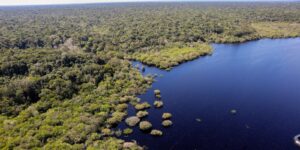 queda-de-desmatamento-no-brasil-gera-r$-1,16-trilhao-a-economia-global