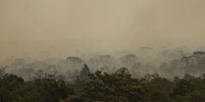 forca-nacional-do-sus-apoia-atendimentos-no-amazonas-apos-incendios