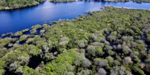 desmatamento-em-areas-protegidas-da-amazonia-e-do-cerrado-tem-queda